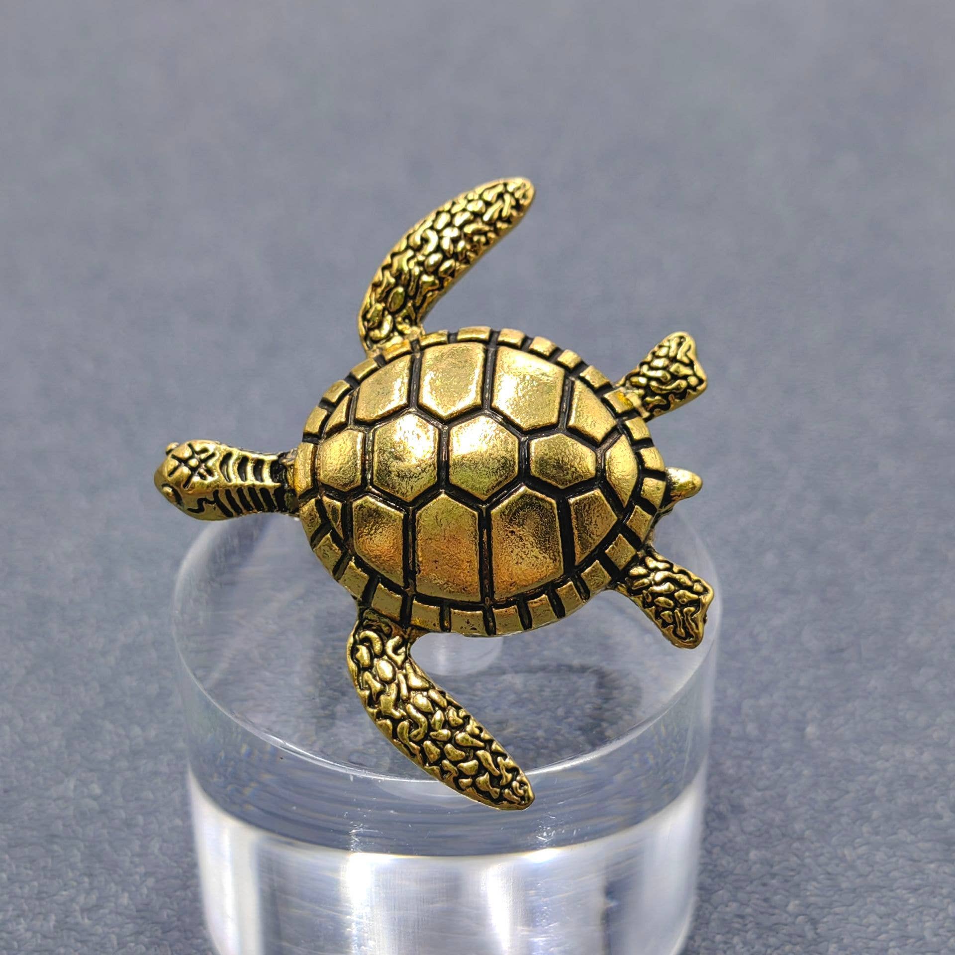 Turtle Brooch: Golden