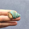 Enamel Conch Brooch