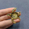 Turtle Brooch: Silver